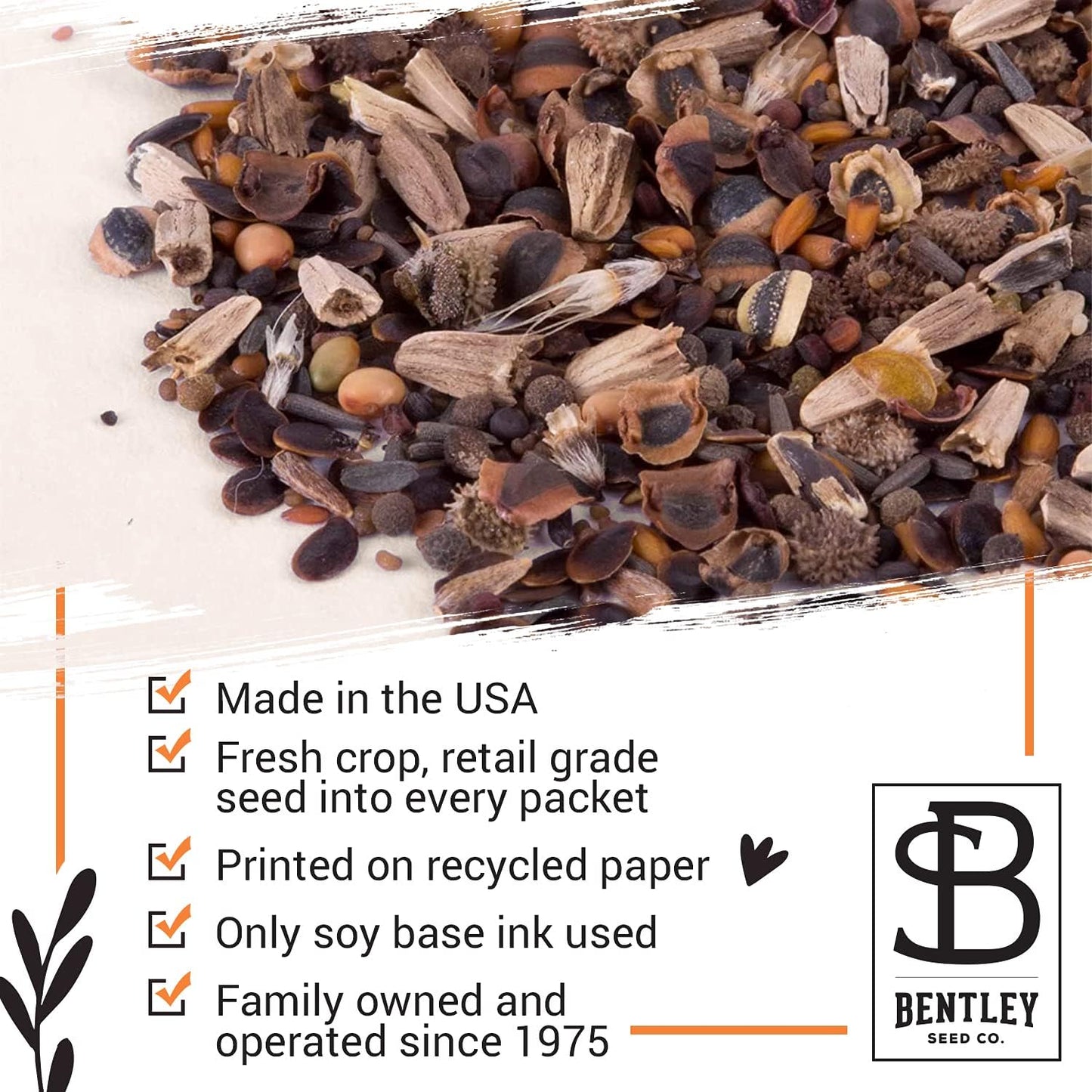 Bentley Seed Medicinal Herbs Starter Kit – Non-GMO Seeds for Indoor Planting - Heirloom Seed Packets - Individual Packets for Chamomile, Lavender, Catnip, Mint, Bee Balm, Lemon Balm, Purple Cone
