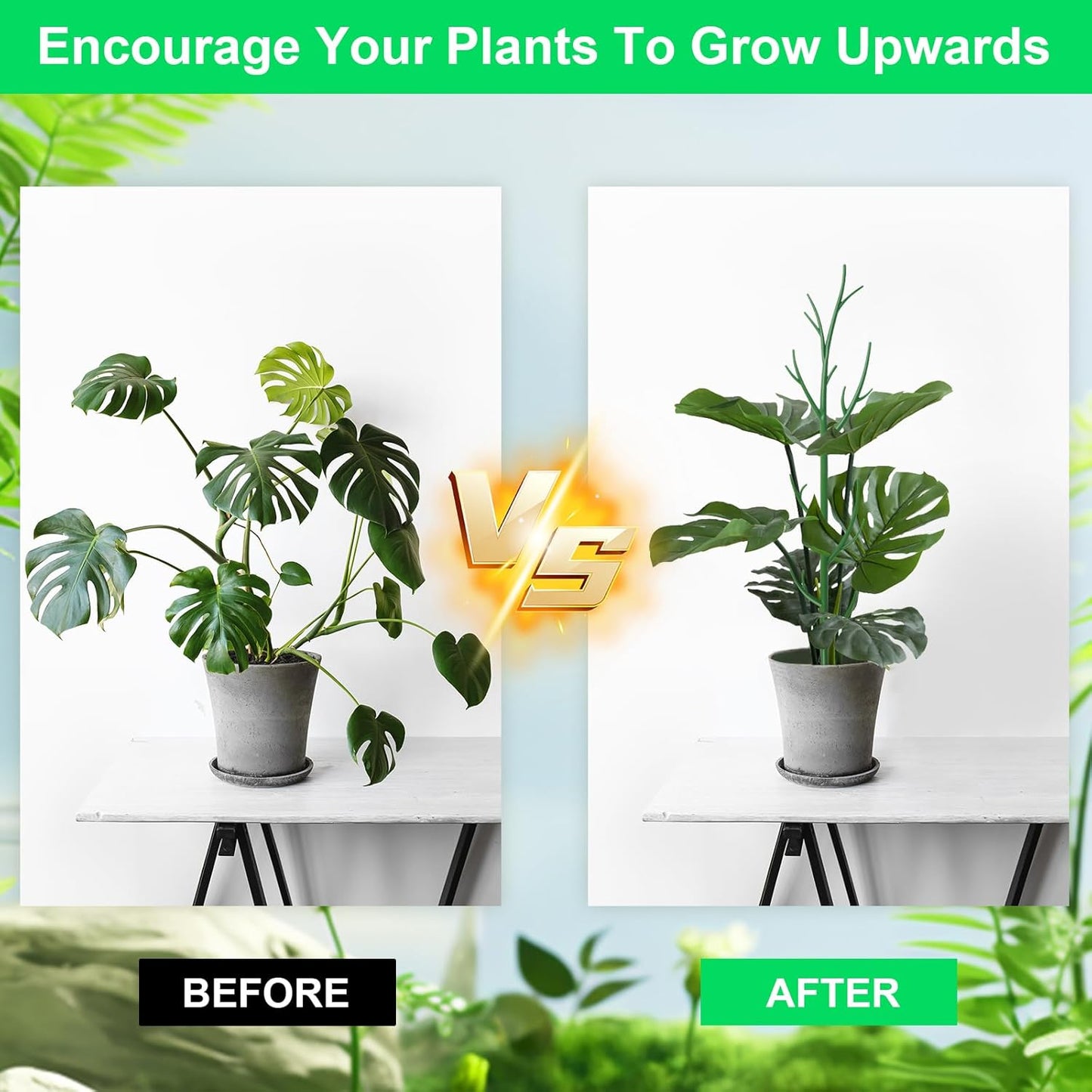 11 Pack Monstera Plant Support - 71.4" Plant Support Stakes for Indoor Plants Sticks Support Tall Indoor Plant Stakes with Twist Ties Stackable Plant Stem Support for Monstera Plants