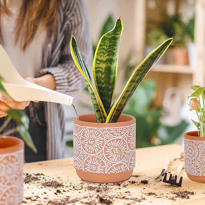 DeeCoo 3 Piece Ceramic Plant pots Indoor Flower Pots Set with Drainage Holes, 5.7/4.7/3.5/inch, Modern Decorative Flower (Red)