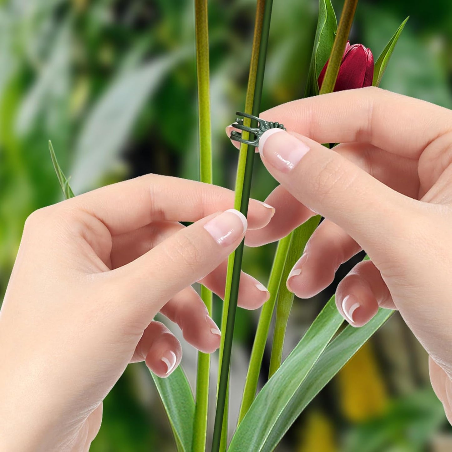 50Pcs Plant Stake Clip Set Green, Plant Sticks Supplies Support Tall, Useful Support Clips, Fine Workmanship Allow Bending Suitable for Various Plant Pots Indoors and Outdoors