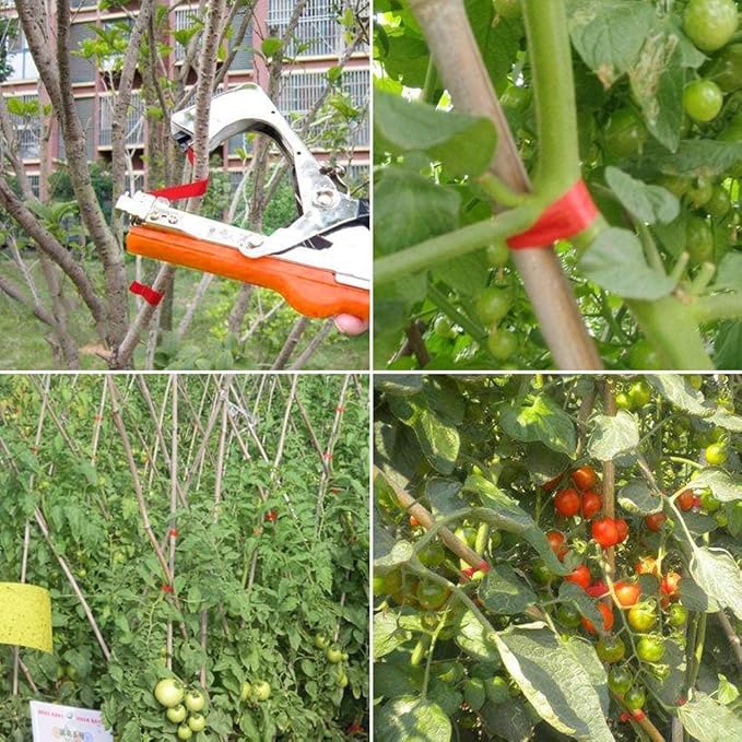 Plant Tying Machine Tomato Tape Tool Fruit Twine Tool with 21 Rolls of Tape and 1 Box of Staple for Garden Vegetable Grape Cucumber Pepper