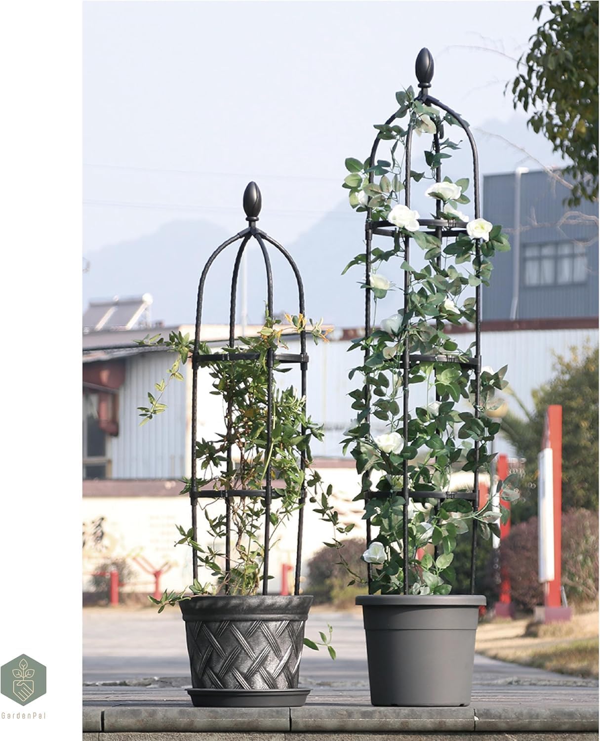 GardenPal Rustproof Metal Pipe Garden Obelisk Trellis, Tomato Cage and Plant Support for Climbing Plants, Potted Tall Plant Stakes for Vine Vegetable Flower Outdoor Indoor (Black, Φ31.7cm-H175cm)