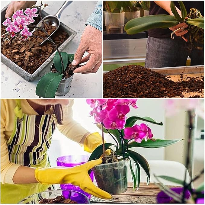 All Purpose Orchid Soil Potting Mix - Orchid Bark & Organic Perlite for Plants - All Natural Potting Soil Media Has Good Drainage for Planting or Orchid Repotting (2 qt)