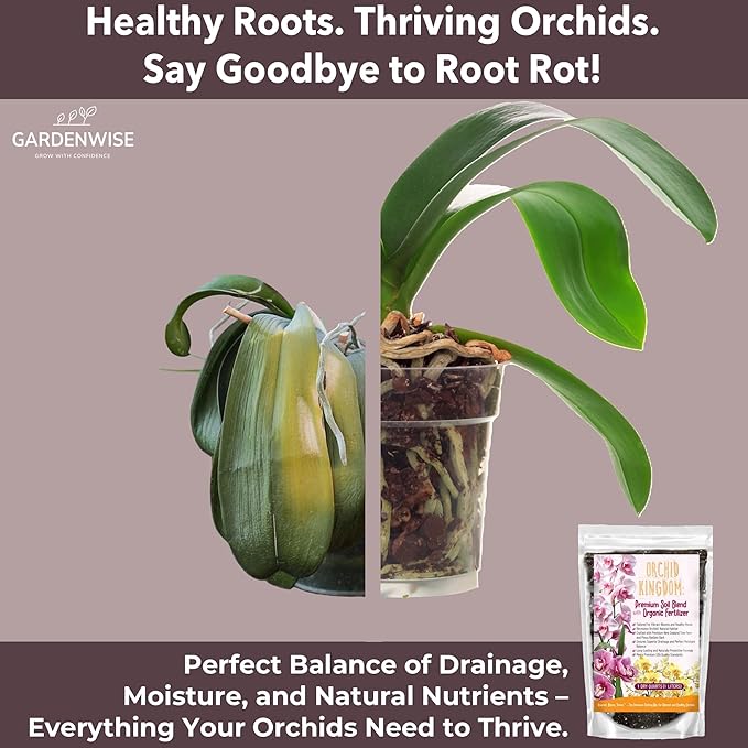 Orchid Potting Mix – Orchid Bark, Sphagnum Moss, Tree Fern & Perlite for Repotting Phalaenopsis Orchids, Indoor Plants, Orchid Soil Medium – Sustrato para Orquídeas (3 Quart)