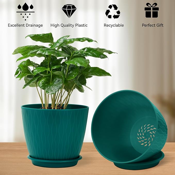 Plant Pots – 6 Inch Planters with Drainage Holes and Saucers, Flower Pots for Indoor and Outdoor Plants, Nursery Planting Pots (Pack of 5, Blue)