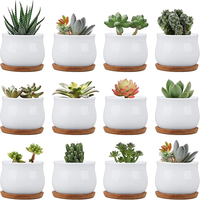 Succluent Pots ,Small Flower Pots Planter Pots with Drinage,Ceramic Flowers Pots with Bamboo Tray for Cactus(12 Pack