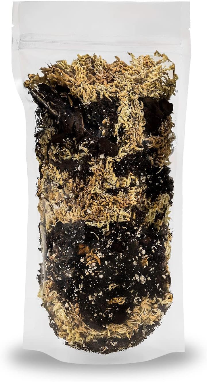 Gardenera Premium Orchid Mix by GARDENERA | Fern + New Zealand Pine Bark + Sphagnum Moss + Perlite | Best for Growing and Repotting Orchids - 1 Quart Bag