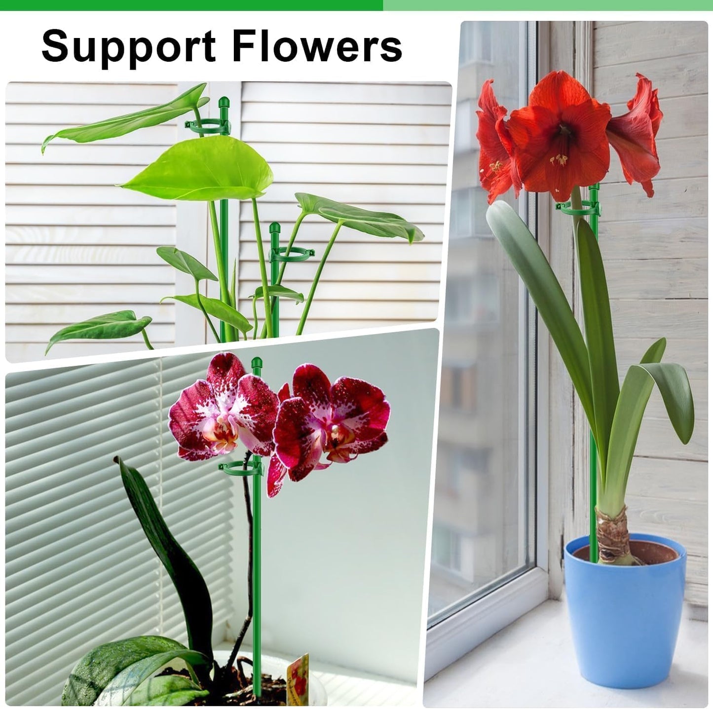 Plant Support Stakes for Indoor Plants SupKing Orchid Sticks with Clips 15 inch 10Pcs Garden Stake Extended to 2/3/4ft for Outdoor Potted Tomato Rose Vegetables House Palnts Comes with 20 Plants Ties