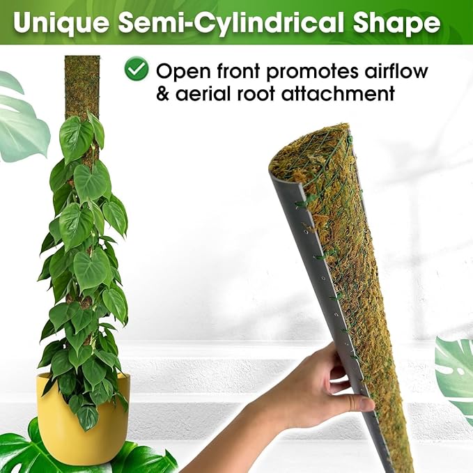 DUSPRO 59ββ D-Shape Moss Pole for Climbing Plants Monstera Moss Plant Pole Handmade Moss Stick for Indoor Plants Grow Upward (59'', 1pc.)