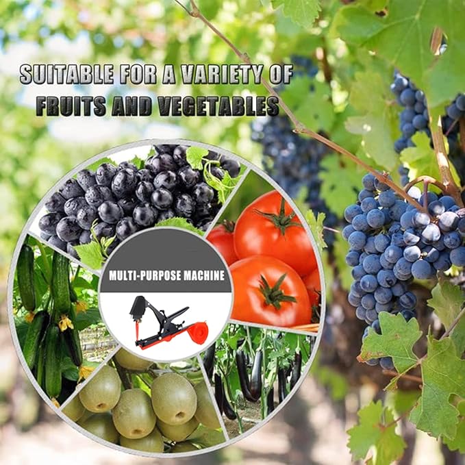 Plant Tying Machine,Plant Vine Tying Machine Tool with 10000pcs Staples 20 Rolls Tape Plant Tape Gun for Grapes,Raspberries,Tomatoes,and Vining Vegetables Tying Tool (Black)