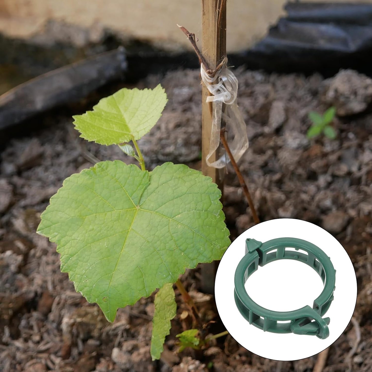 MECCANIXITY 300 Pcs Garden Plant Clips Fixing Clips Green 30mm Adjusting Plant Lever Loop Clips for Supporting Flower Vine Vegetables Climbing Plant Plant Stems