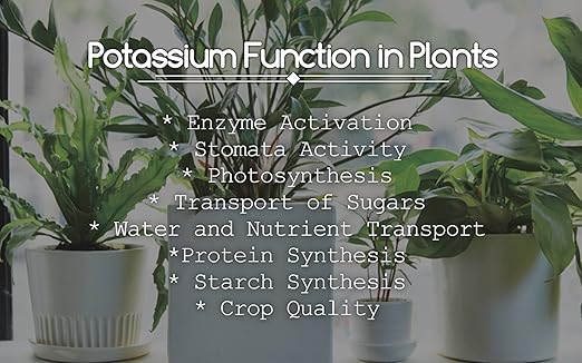 Greenway Biotech Potassium Chloride 0-0-62 Fertilizer - Muriate of Potash | 100% Water Soluble - Improves Plant's Root Growth Fertilizers Ideal for Soil and Hydroponics - 10 Pounds