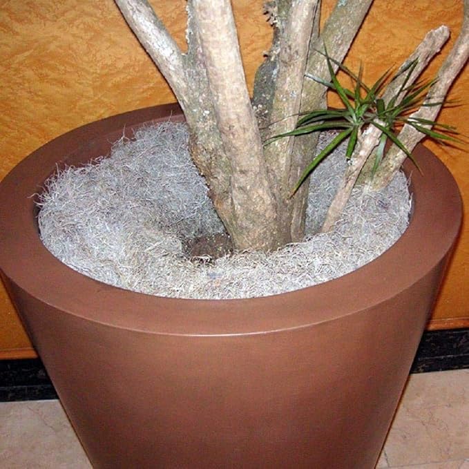 Mosser Lee ML0560 Spanish Moss, 250 Cubic Inches (3)