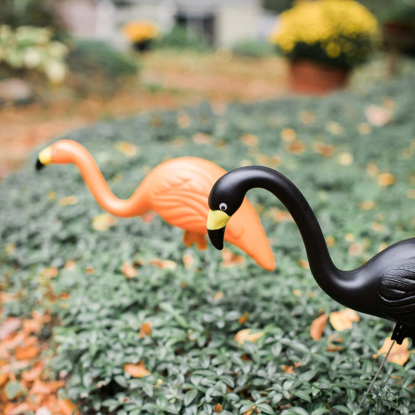 Bloem Spooky Flamingo Yard Stakes: 2 Pieces 25" Halloween - Head Up & Head Down Poses, Google Eyes, Galvinized Steel Legs, Durable Weatherproof Resin, for Indoor Or Outdoor Use, Yard Decoration
