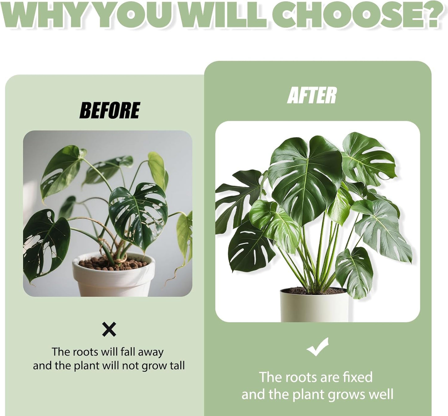 Monstera Plant Support, 16Pcs Plant Stem Support for Indoor Plants - Heavy Sturdy Climbing Plant Stakes for Potted Vines, Monstera, Flowers Green