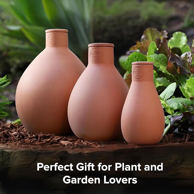 Olla Classic Small – Olla Watering Pot with lid | Olla Watering System with Terra Cotta Clay Irrigation Pots | Self Watering Ollas While on Vacation | The Olla Company