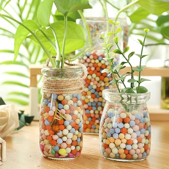 6LBS Clay Pebbles Gardening Ceramsite Orchid Rocks Drainage Water Purification Ceramsite Decor Cultivation Soil Stone Horticultural Grade for Soil Hydroponics Aquaponics
