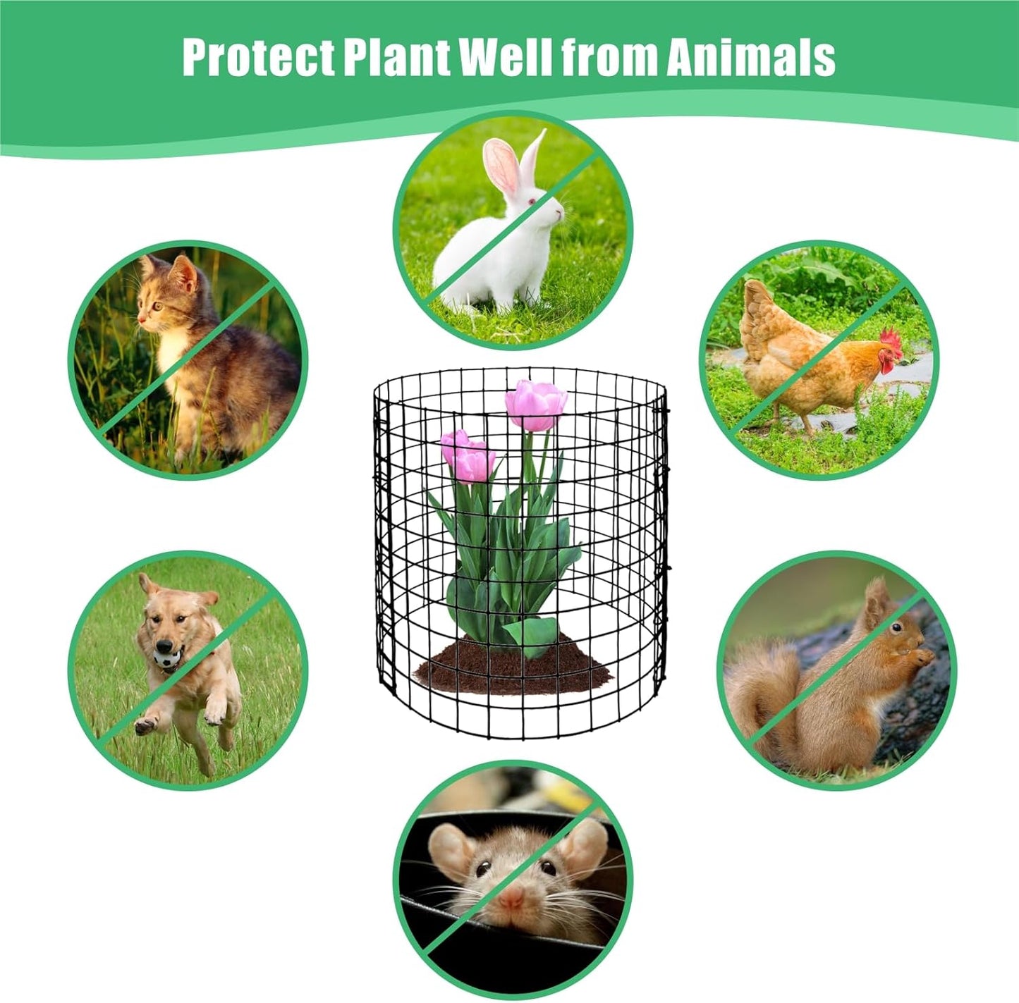 Eunika 18 Pcs Round Plant Protector from Animals, 6 Pack 12" x 12" Metal Mesh to Keep Animals Out Wire Plant Protectors for Rabbits Chicken Bunny Barricades for Garden Vegetable Flowers Protection