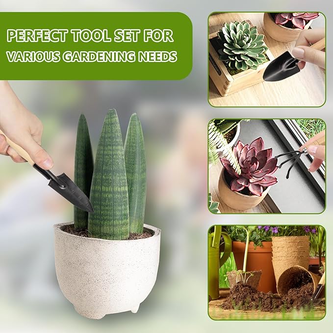 Small Garden Tools 6 Pcs Mini Miniature Shovel Indoor Succulent Home Tiny Gardening Kit Plant Potted Repotting Flower Wood Handle Care Transplant Accessories Potted Houseplant