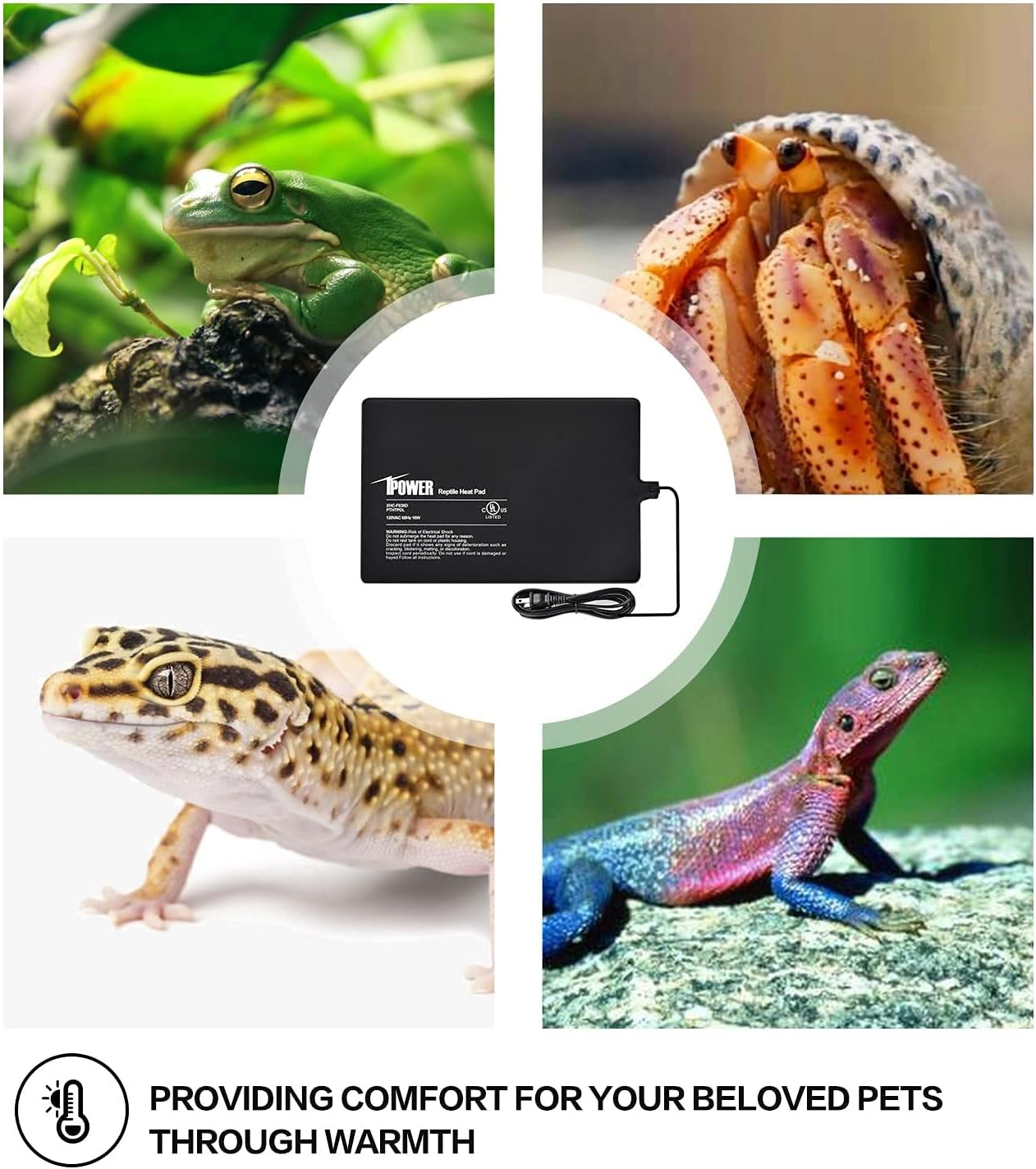 iPower 8 by 12-Inch 16W Reptile Heat Mat, Under Tank Warmer Terrarium Heat Pad for Turtles Lizards Frogs and Other Small Animals, Multi Sizes
