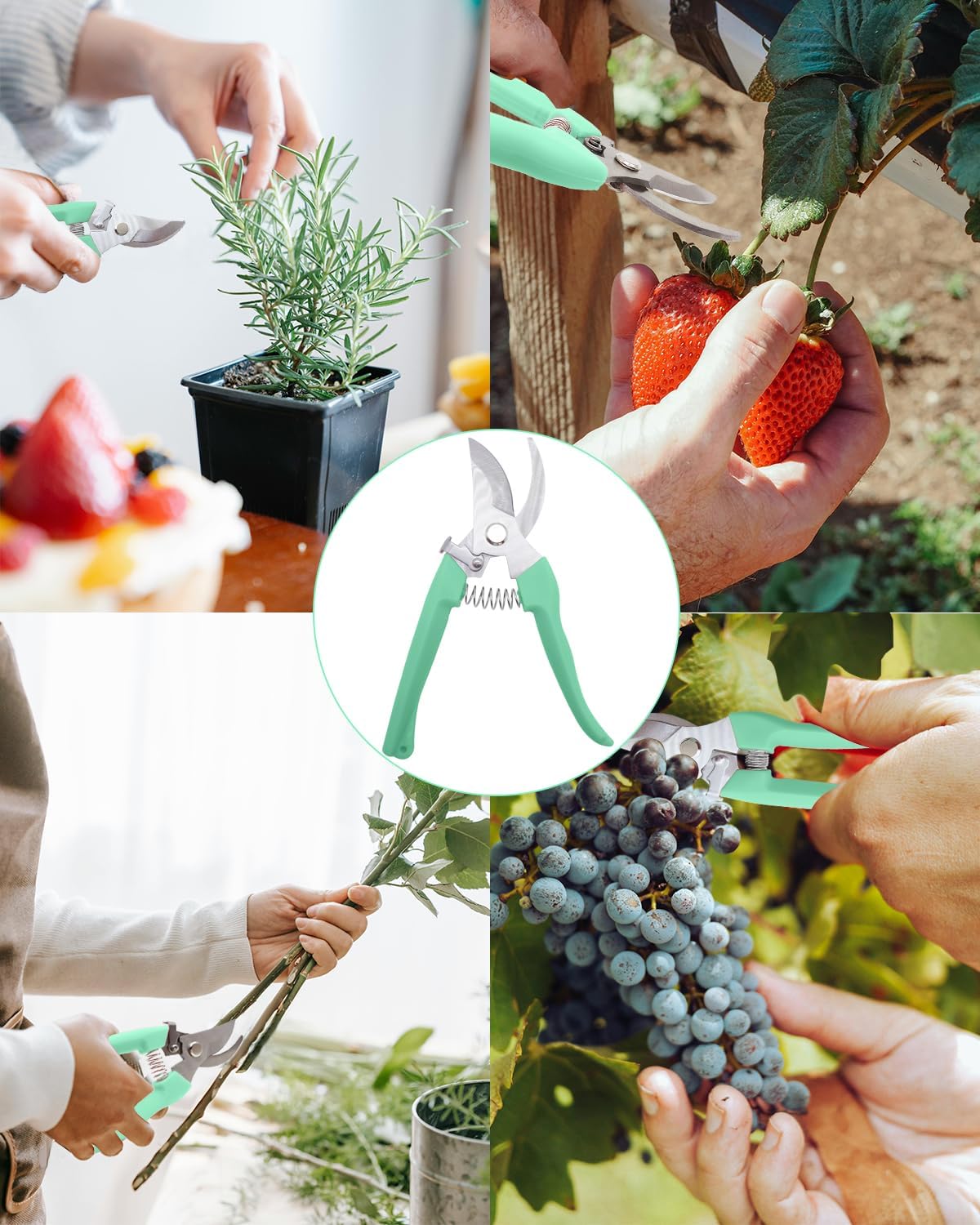 Pruning Shears for Gardening, 2 Pack Garden Scissors for Cutting Fresh Flowers, Floral Clippers for Plants, Fruits (Green)
