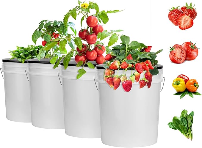 6 Inch Net Pots for 5 Gallon Bucket Wide Lids (5 Pack), Net Cups for Hydroponics Bucket Lids, BPA-Free, DWC Basket Lids for 5 and 3.5 Gallon Bucket