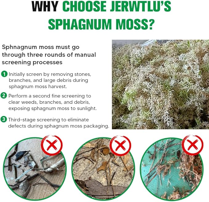 Natural Long Fiber Sphagnum Moss 34QT for Orchid Potting Mix, and Moss Pole for Plants Indoor. Ideal for Propagating Plants, Maintaining Humidity for Reptiles, Isopods in Paludarium, Aquascape (10 OZ)