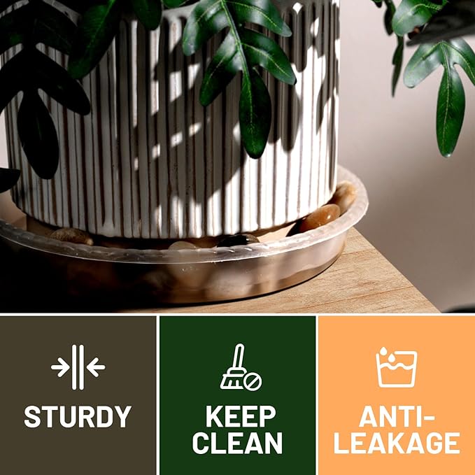MUDEELA Plant Saucer 6 Pack of 12 inch, Durable Plastic Plant Trays for Indoors, Clear Plastic Flower Plant Pot Saucer, Made of Thicker, Stronger Plastic, with Taller Design