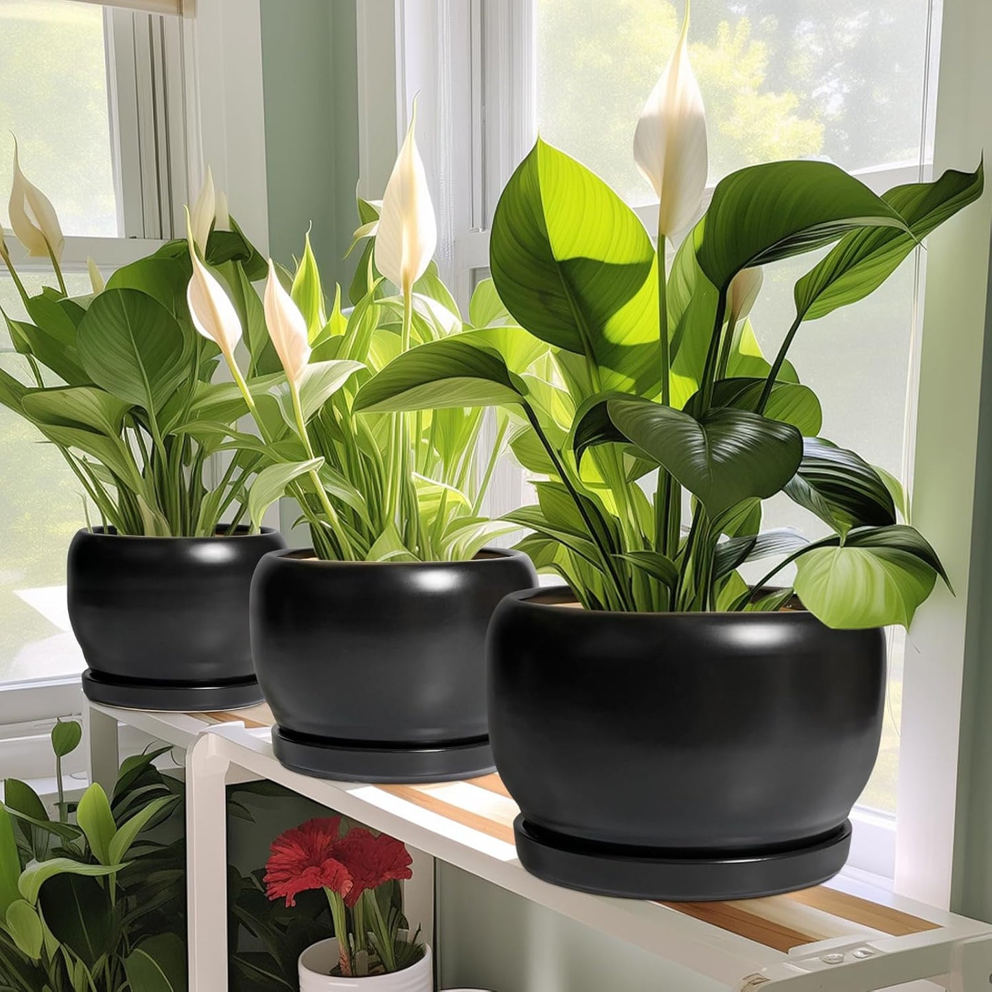SQOWL Ceramic Plant Pots - 8 Inch Planter Indoor, Round Flower Pot with Drainage Hole and Saucer, Modern Outdoor Planter, Apartment Decor, Gifts for Plant Lovers, Black
