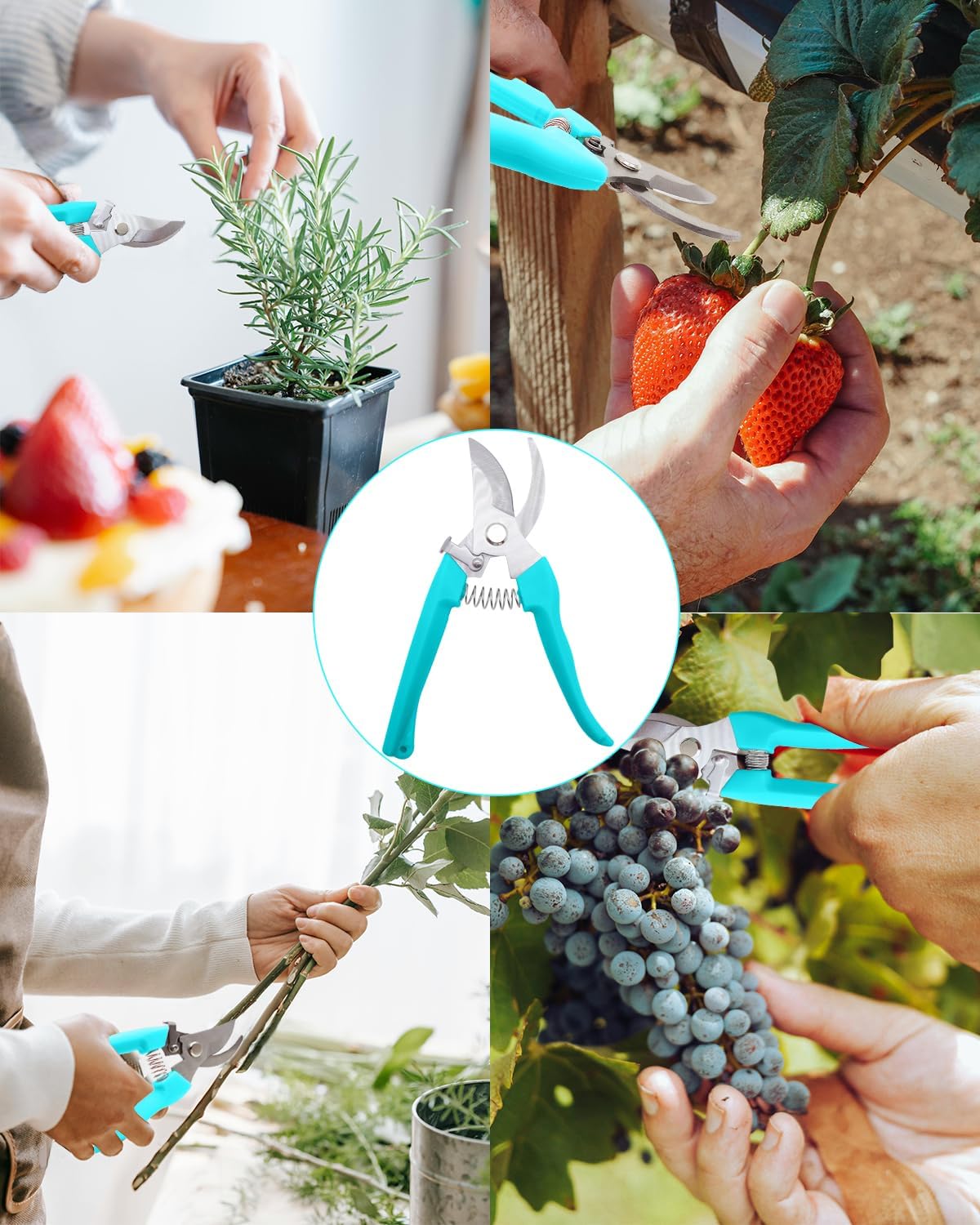 Pruning Shears for Gardening, 4 Pack Garden Scissors for Cutting Fresh Flowers, Floral Clippers for Plants, Fruits (Blue)
