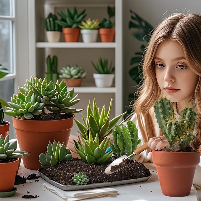 Cactus and Succulent Soil Potting Mix 10qt, Well Draining Chunky Soil Mix for Indoor Plants, Gritty Soil for Healthy Indoor Plants - Spike & Bloom