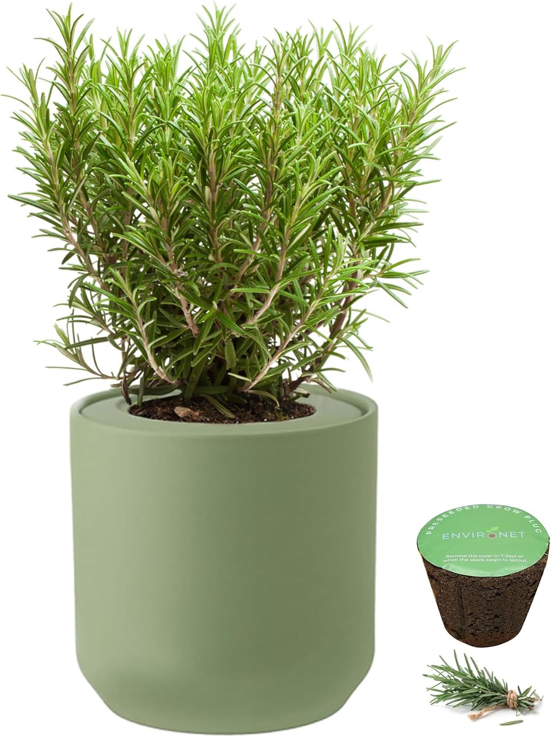 Hydroponic Herb Growing Kit, Self-Watering Kitchen Herb Garden Starter Kit with Green Ceramic Pot and Seeds (Rosemary)
