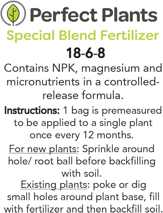 Arbequina Olive Tree - Live Plant, Includes Special Blend Plant Food & Planting Guide- Size (3-4FT)