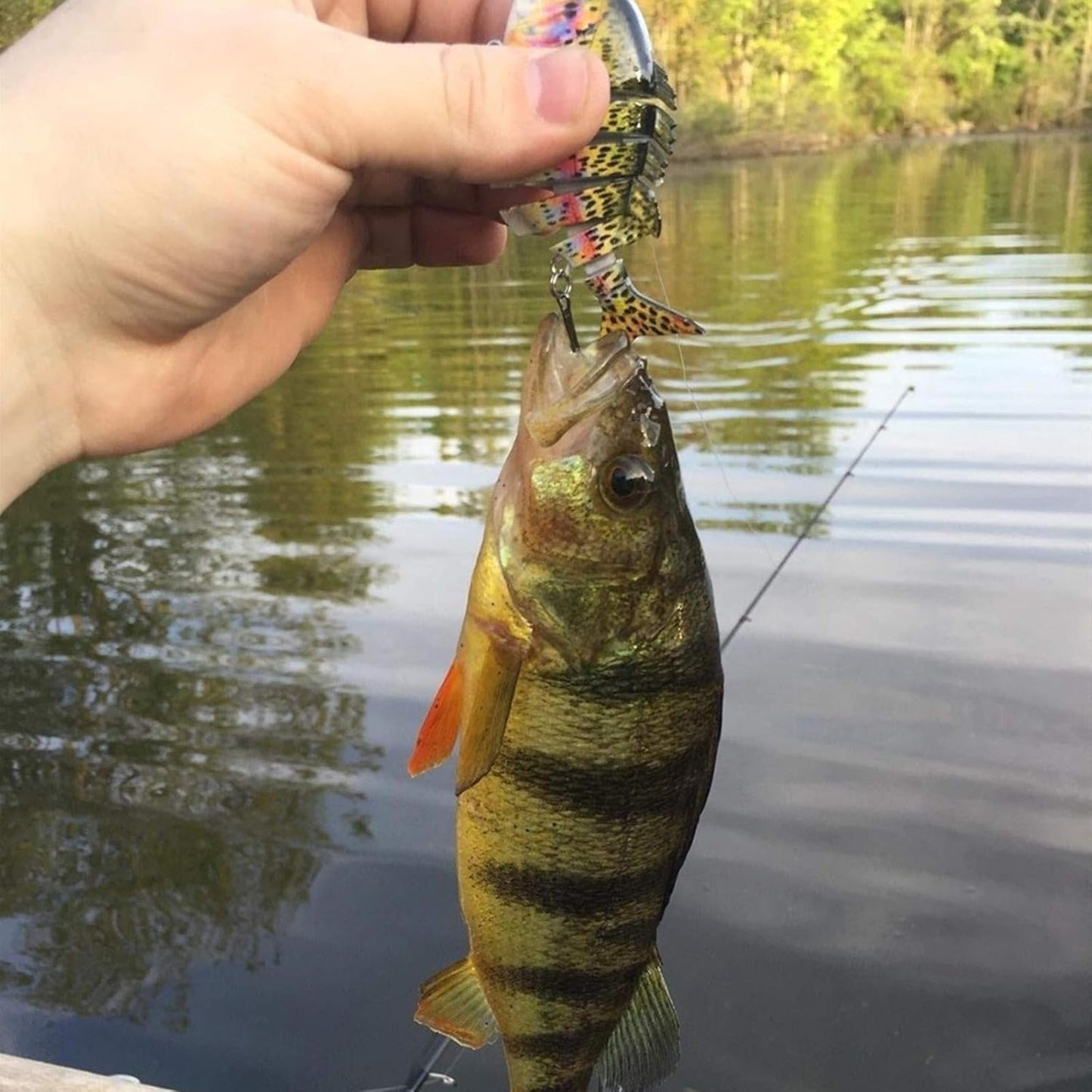 Fishing Lures for Bass Trout Topwater Multi Jointed Swimbaits Slow Sinking Bionic Swimming Lures Bass Freshwater Saltwater Bass Lifelike Fishing Lures Kit