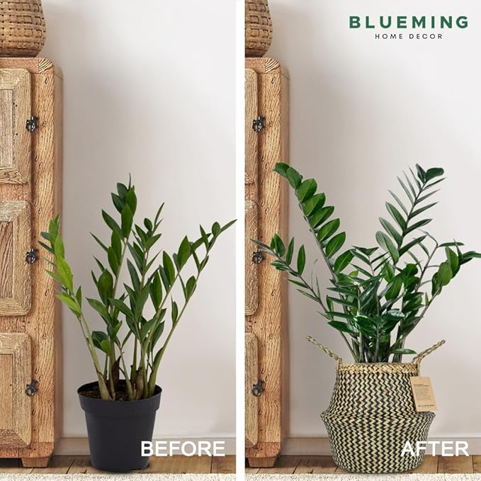 Olive Tree Basket β Small Seagrass Plant Pot for Tall Indoor Artificial Trees, Woven Planter 8-9 Inches, Wicker Baskets for Decorative Storage (Black, Medium)