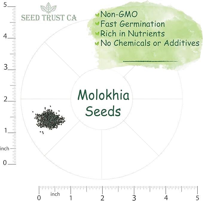 Egyptian Spinach (Molokhia) Seeds β 3000+ Non-GMO, High-Yielding Saluyot Vegetable Seeds for Planting β High Germination Rate, Heirloom Variety β USA (Molokhia)
