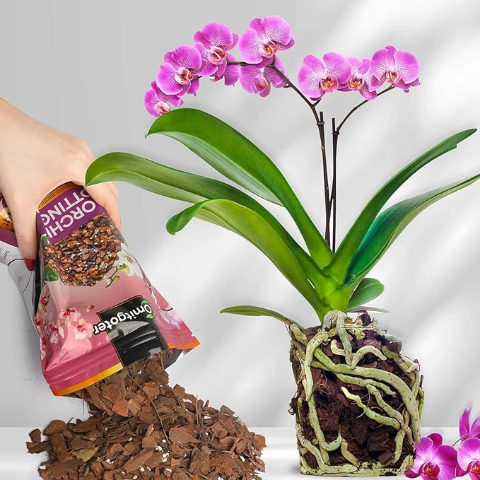 Orchid Potting Mix 2qt, Premium Orchid Soil Medium for Potting, Repotting, Enhanced Drainage, Air Flow & Root Ventilation