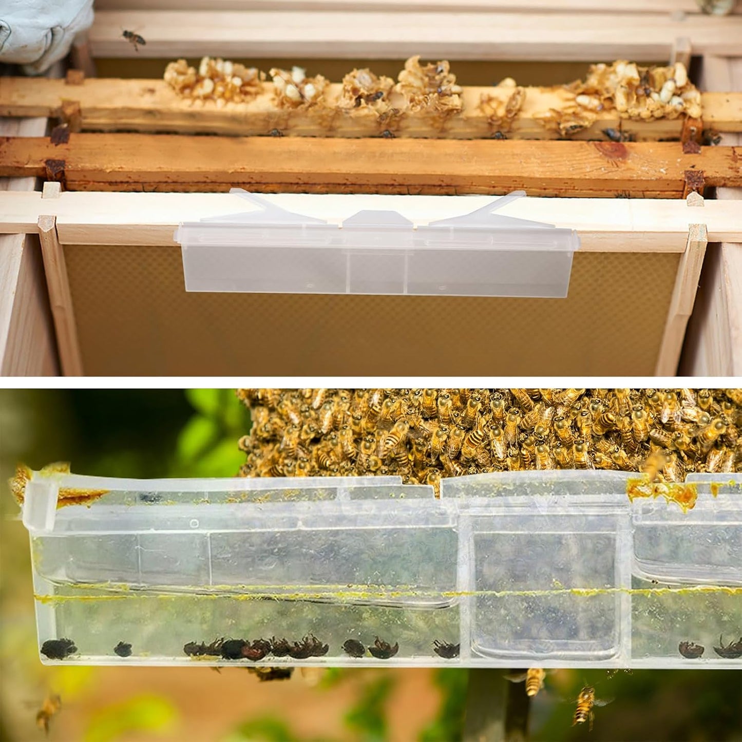 10 Pack Small Reusable hive Beetle for bee Hives Beetle Blaster SHB bee hive Beetle Guard Guardian