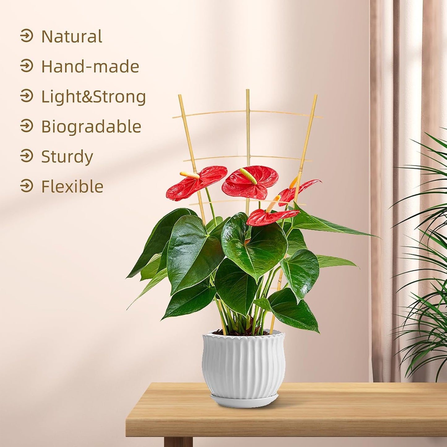 Bamboo Garden Trellis - 24 Inches Tall, 3 Pack - Perfect for Climbing Plants, Vegetables, and Pots - Enhance Your Garden with Natural Bamboo ,2Ft Plant Trellis Indoor