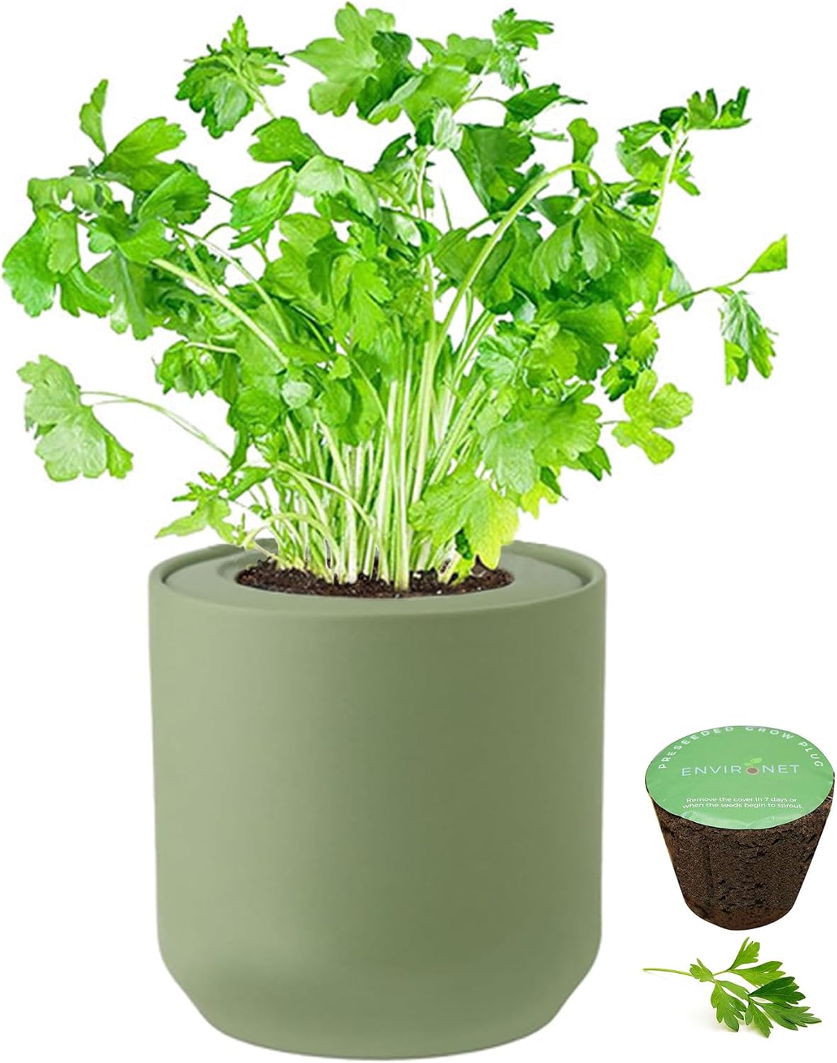 Hydroponic Herb Growing Kit, Self-Watering Kitchen Herb Garden Starter Kit with Green Ceramic Pot and Seeds (Parsley)