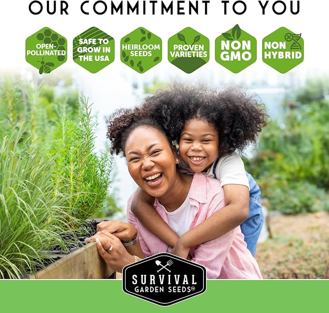 Survival Garden Seeds - Cilantro Seed for Planting - Packet with Instructions to Plant & Grow Coriandrum Sativum Herb in Your Home Vegetable Garden - Seed Vault - Non-GMO Heirloom Variety - 2 Packs