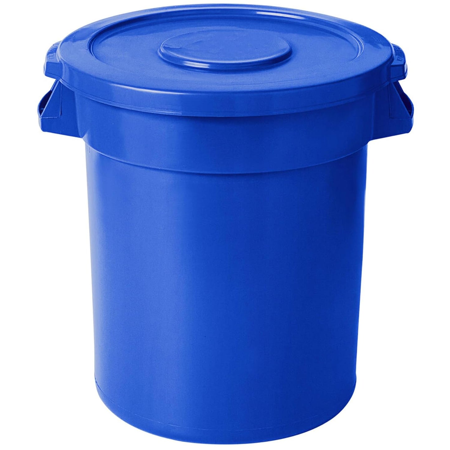 PRO&Family Trash can with Lid (Blue, 20 Gallon)