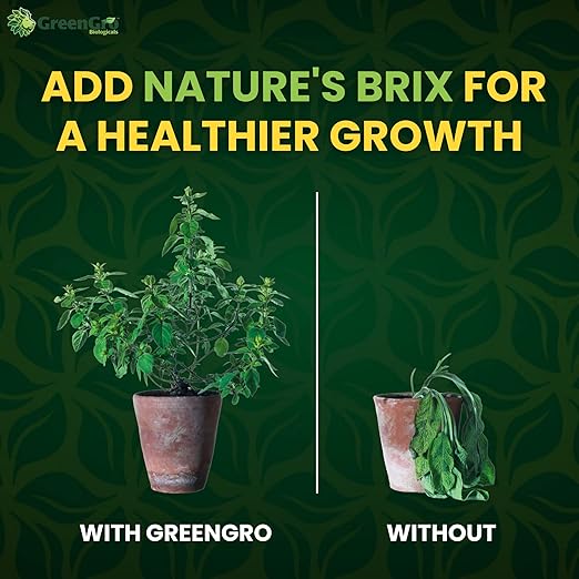 GreenGro Nature’s Brix 0-0-2, Premium Plant Food for All Gardening Methods, Increases Brix Levels and Resin Production (5 lb)