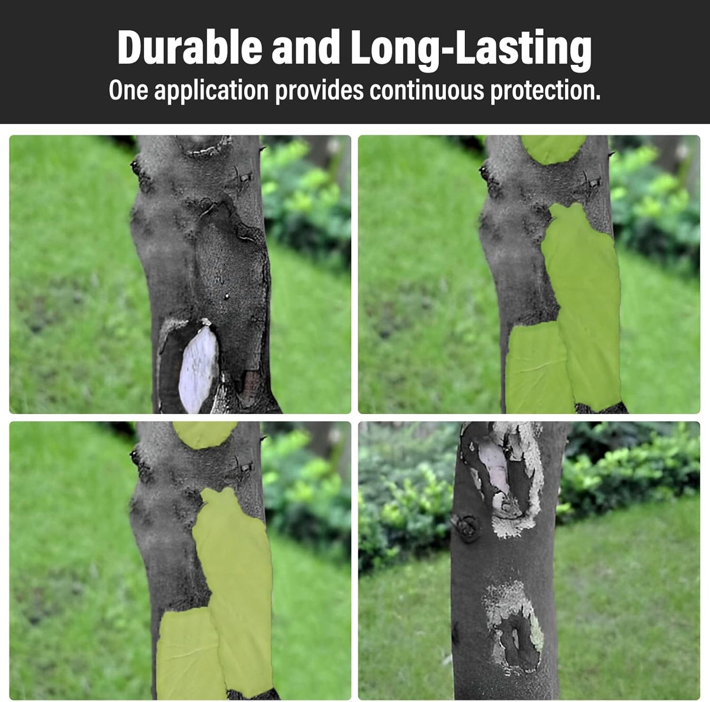 Madrigal Bonsai Pruning Sealer - Tree Wound Healing Paste for Grafting & Pruning Cuts | Fast-Drying| Professional Strength for Bonsai, Fruit Trees, and Plants