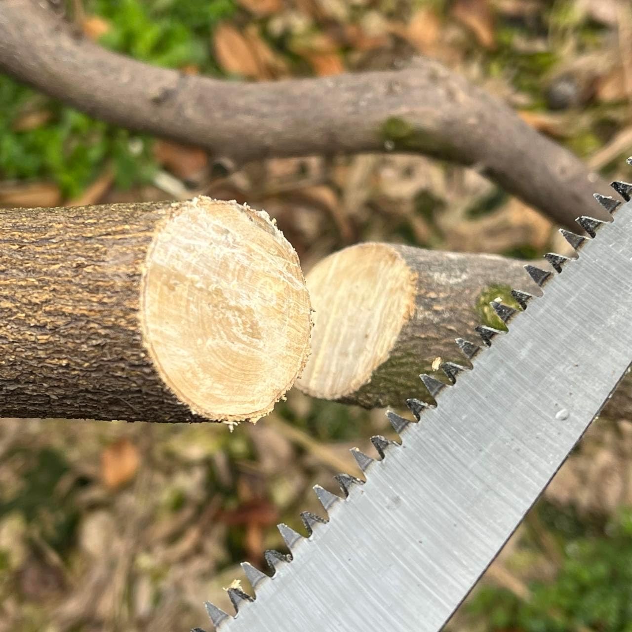 2PACK 7" Folding Hand Saw – Heavy Duty Pruning & Camping Saw with Triple-Cut Blade, Safety Lock – Ideal for Hunting, Backpacking, Tree Trimming, Bushcraft, and DIY (Cuts Dry Wood, Bamboo, Branches)