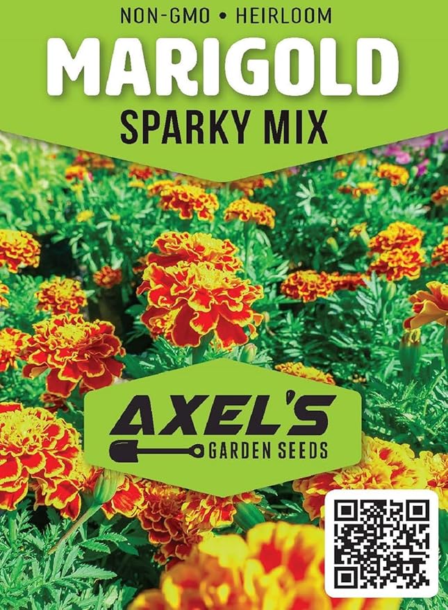 French Marigold Seeds for Planting - Plant & Grow Heirloom French Marigolds in Home Outdoor Garden – Planting Instructions for Vibrant Rare Blooms – Great Gardening Gift, 1 Packet, Orange, Red