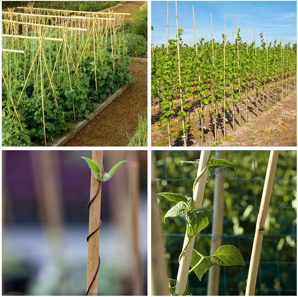 Mininfa Natural Bamboo Stakes 6 Feet, Eco-Friendly Garden Stakes, Plant Stakes Supports Climbing for Tomatoes, Trees, Beans, 20 Pack