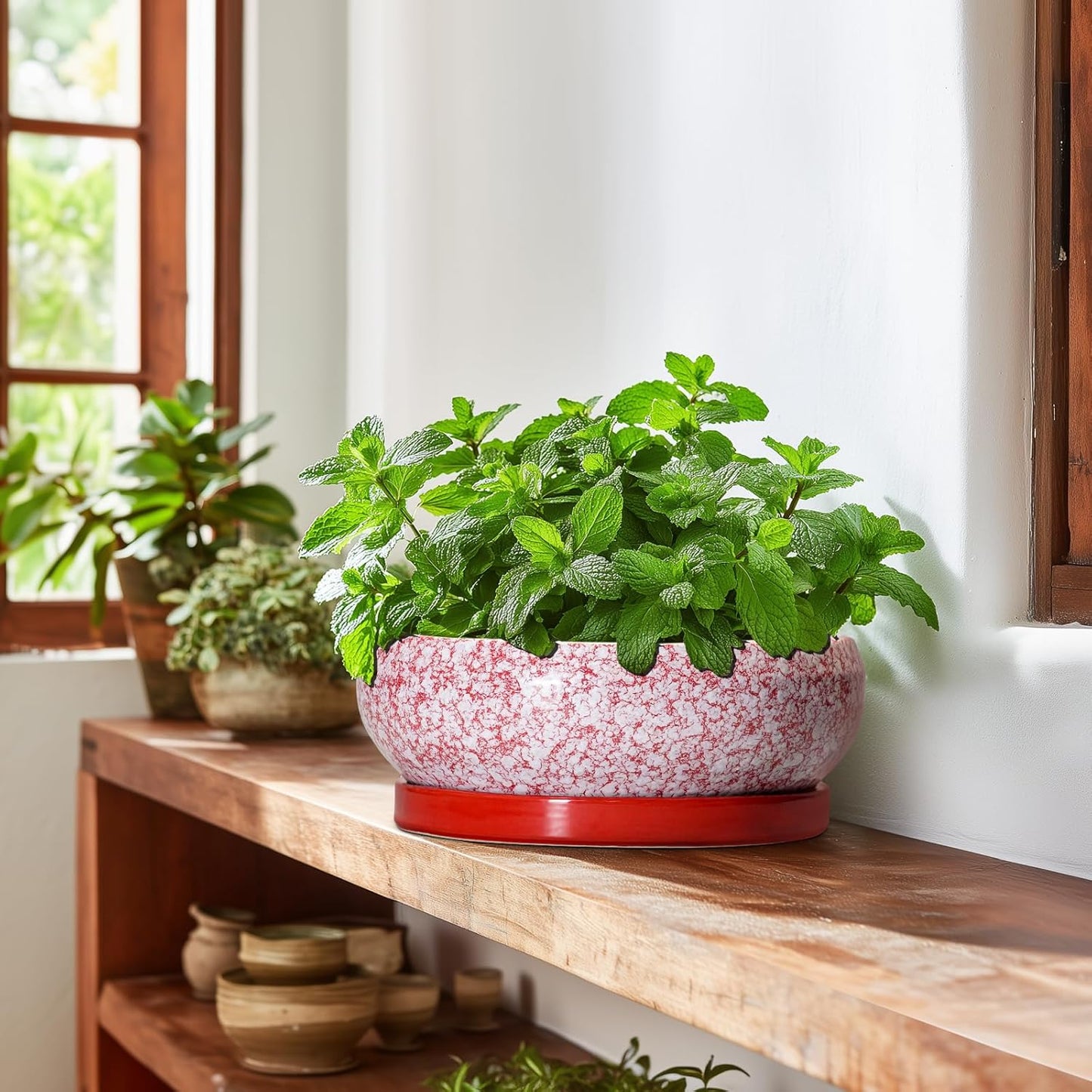 Bonsai Pots 10 Inch - Ceramic Succulent Planters for Indoor Plants Outdoor, Succulent Pots with Drainage Hole and Tray, Round Shallow Planter, Bonsai Planter, Home Decor, Gardening Gift, Red