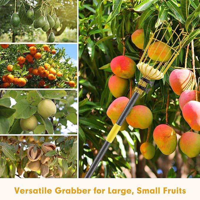 Apple Picker,156 Inch Long Handle Fruit Picker Pole with Basket for High Fruit Tree,Splicing Adjustable Apple Fruit Picker Pole for Pear,Orange,Peach,Lemon,Plum,Mango Tall Trees Fruit Grabber