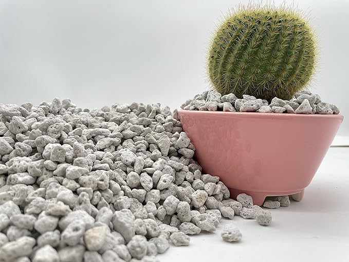 Pumice for Bonsai, Succulent, Cactus. | 20 Quarts Bag | 1/4β Particle Size | The Bonsai Supply